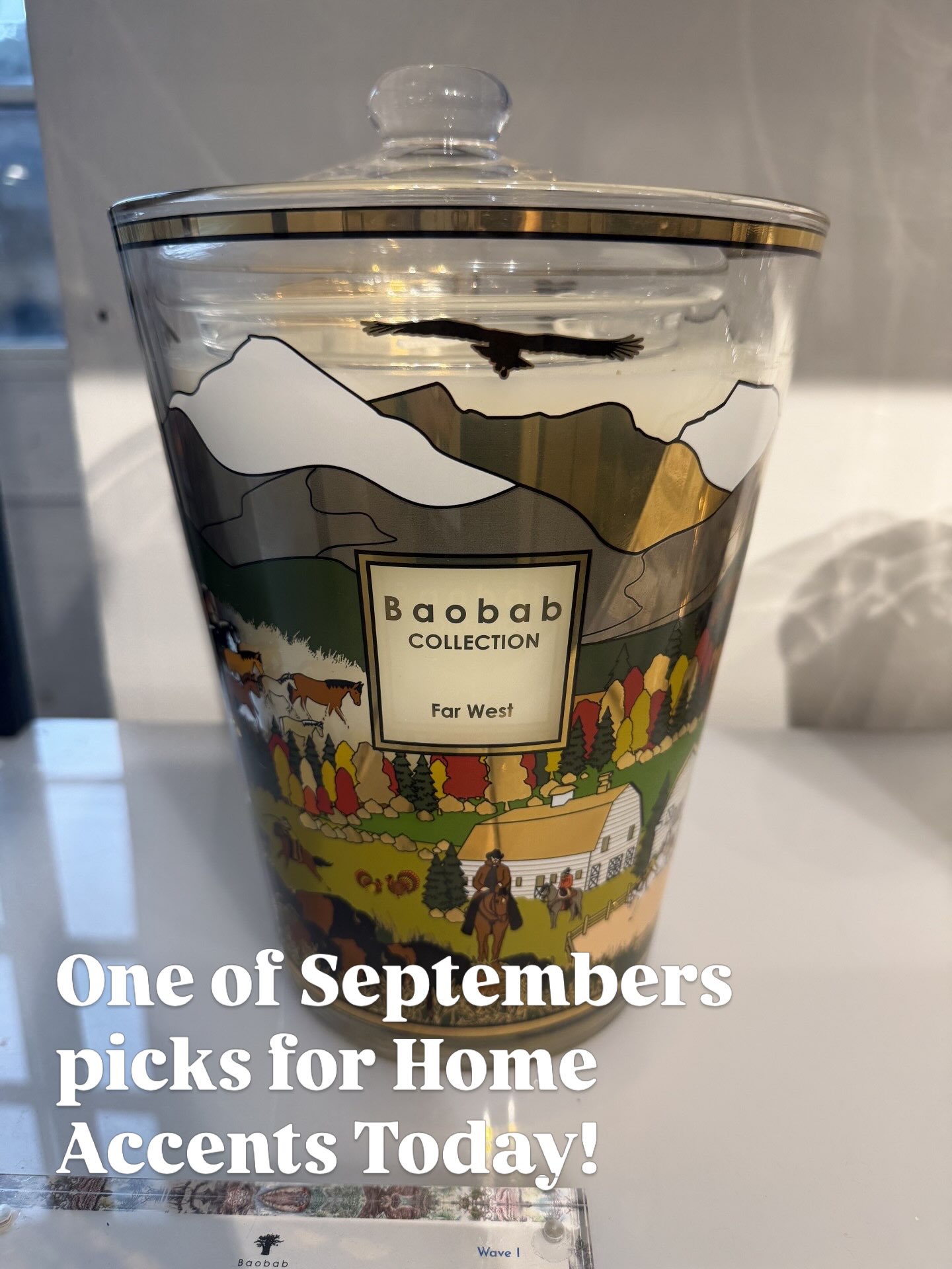 Folk inspiration is everywhere this fall and one of our recent Trend Advisor picks for Home Accents Today is a perfect example. Baobab’s ‘Far West’ candle, seen at Shoppe Object in NY, features a folk-art inspired illustration of the American West. #folklore #folktrend #westerntrend #farwest #prairiecore